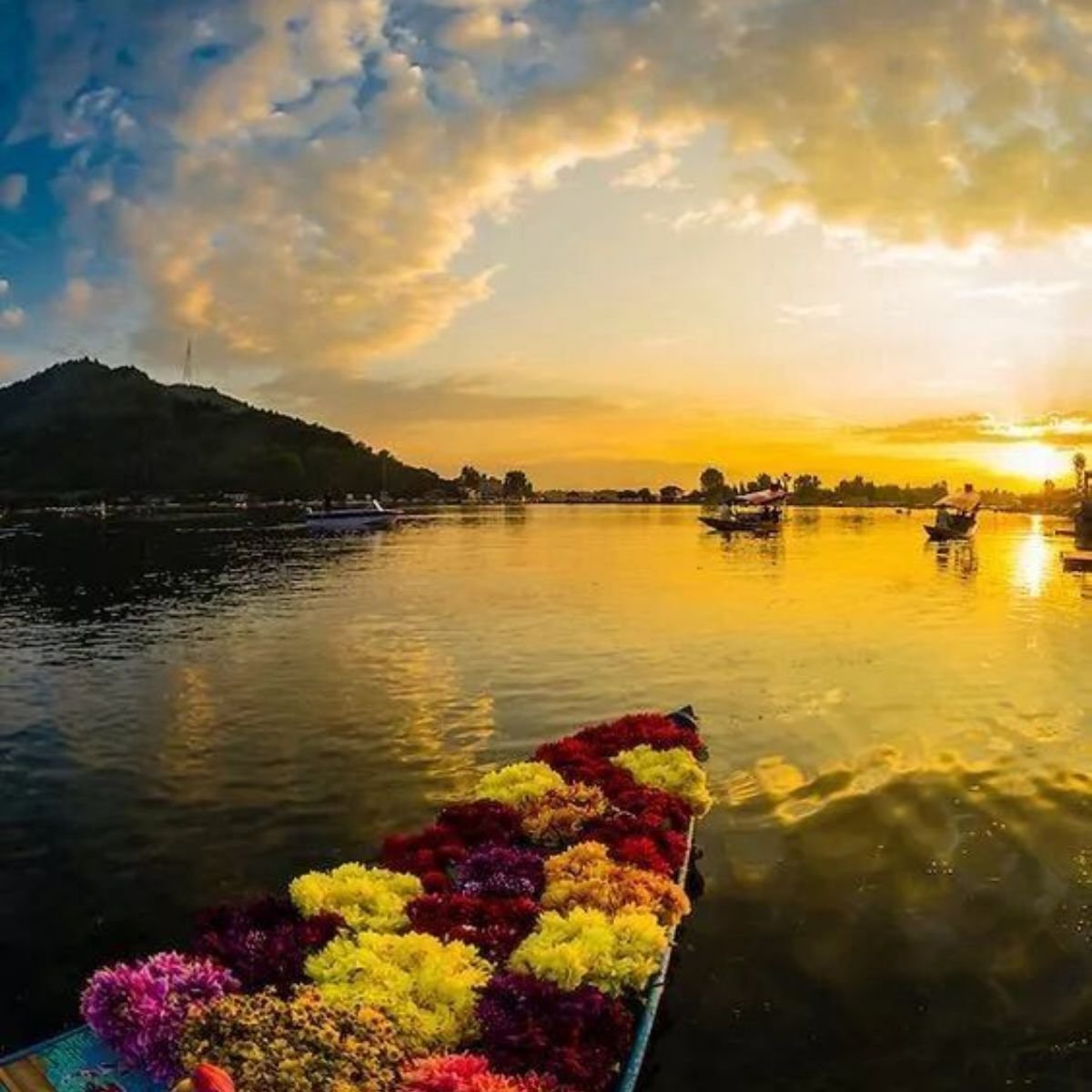 Kashmir