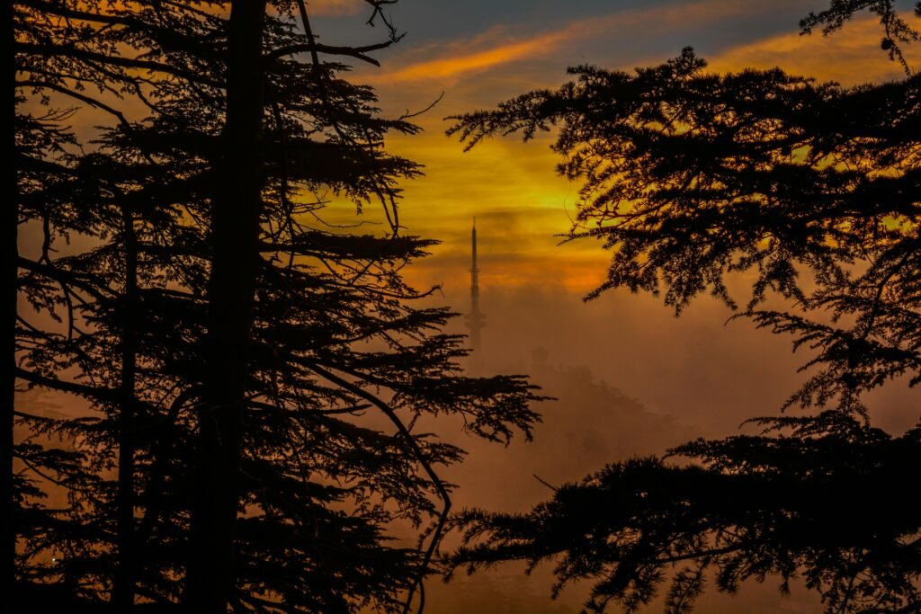 Shimla Manali tours