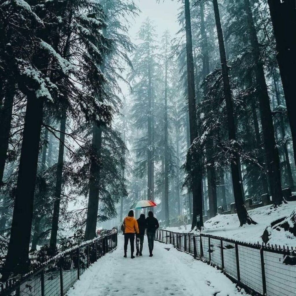 Shimla Manali Ramble