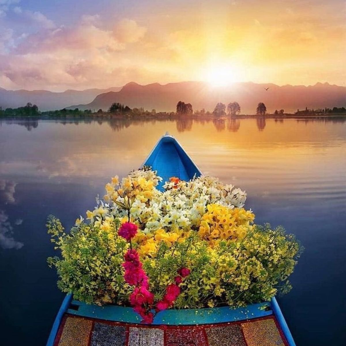 Ladakh & Kashmir Tour Package – 8 Days / 7 Nights