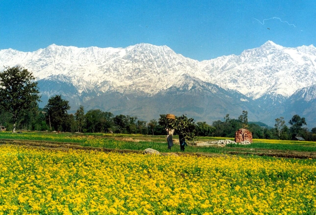 Kangra Himachal Pradesh