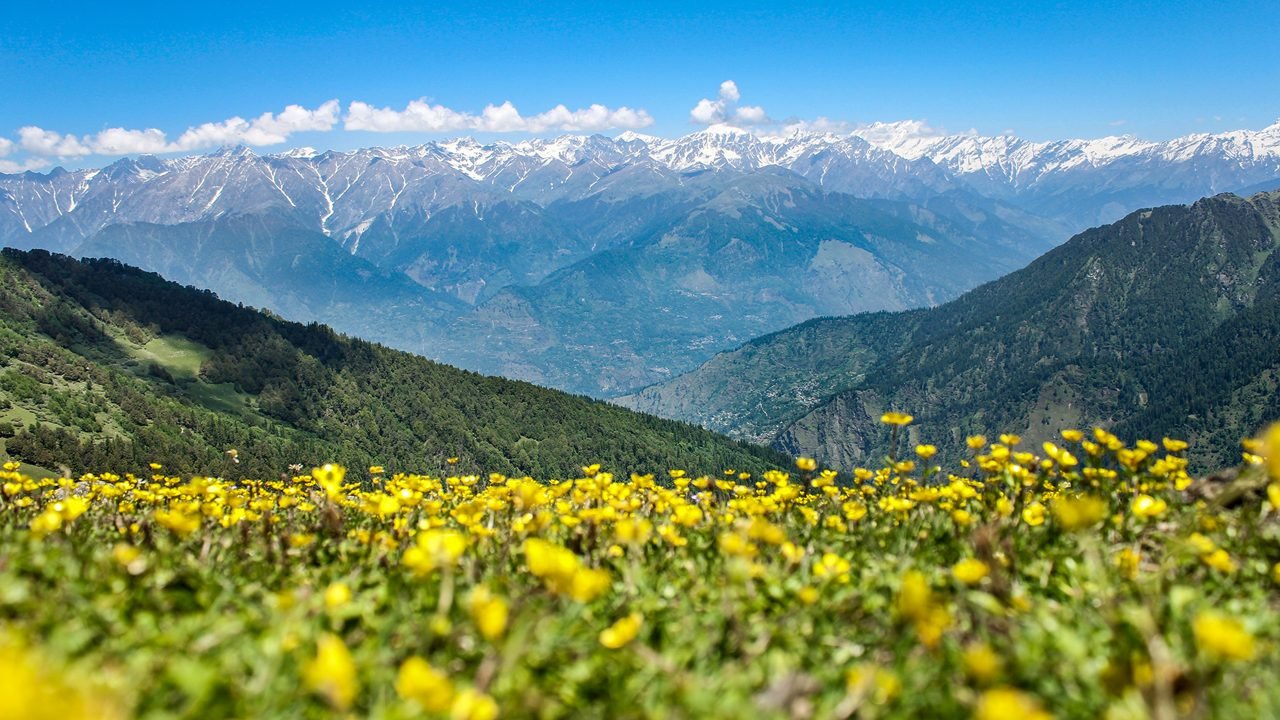 Kullu